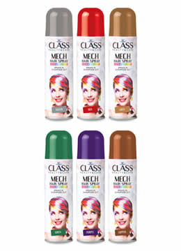 AcClass-HairStylingCare-5